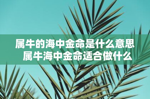 属牛的海中金命是什么意思 属牛海中金命适合做什么行业