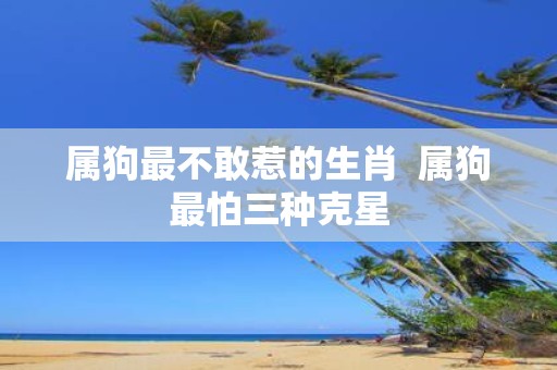 属狗最不敢惹的生肖 属狗最怕三种克星