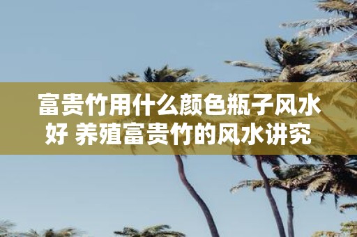富贵竹用什么颜色瓶子风水好 养殖富贵竹的风水讲究