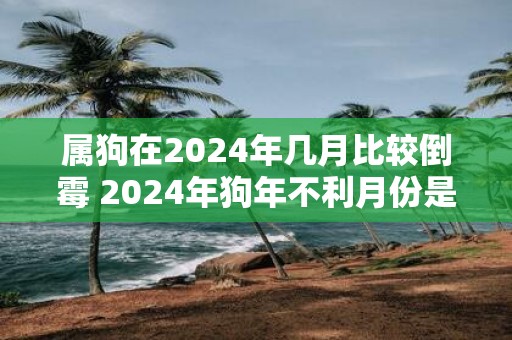 属狗在2025年几月比较倒霉 2025年狗年不利月份是