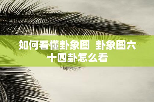 如何看懂卦象图 卦象图六十四卦怎么看