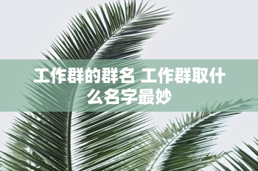 工作群的群名 工作群取什么名字最妙