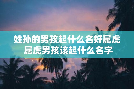 姓孙的男孩起什么名好属虎 属虎男孩该起什么名字
