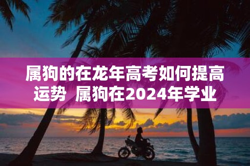 属狗的在蛇年高考如何提高运势 属狗在2025年学业