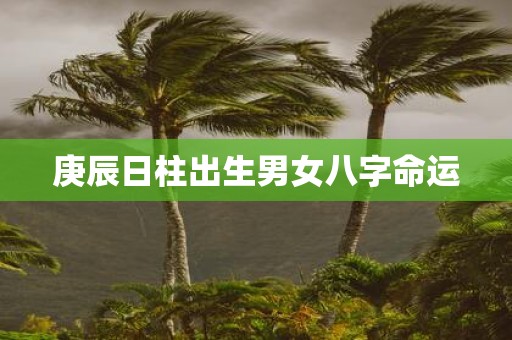 庚辰日柱出生男女八字命运