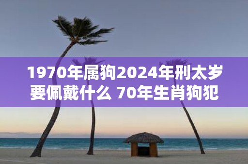 1970年属狗2025年刑太岁要佩戴什么 70年生肖狗犯太岁怎么化解