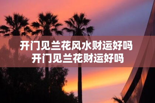 开门见兰花风水财运好吗 开门见兰花财运好吗