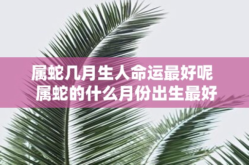 属蛇几月生人命运最好呢 属蛇的什么月份出生最好