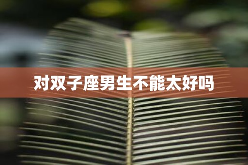 对双子座男生不能太好吗