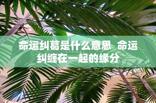 命运纠葛是什么意思 命运纠缠在一起的缘分