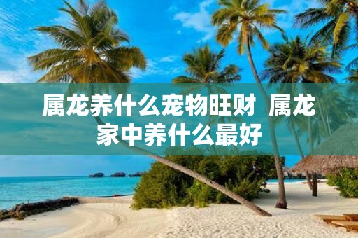 属龙养什么宠物旺财 属龙家中养什么最好