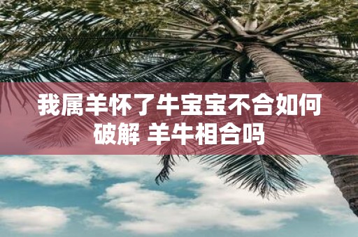 我属羊怀了牛宝宝不合如何破解 羊牛相合吗