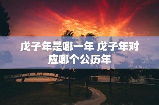 戊子年是哪一年 戊子年对应哪个公历年