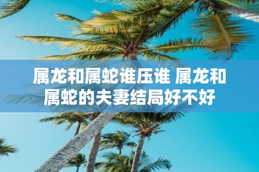 属龙和属蛇谁压谁 属龙和属蛇的夫妻结局好不好