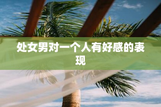 处女男对一个人有好感的表现