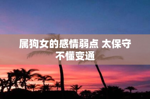 属狗女的感情弱点 太保守不懂变通