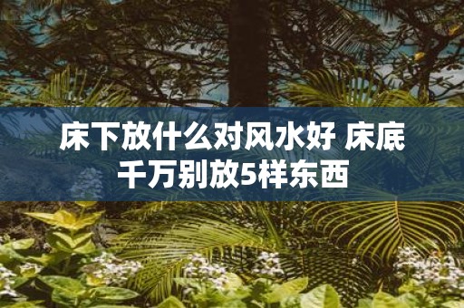 床下放什么对风水好 床底千万别放5样东西