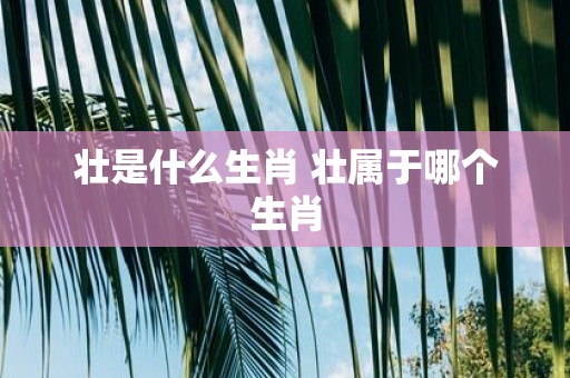 壮是什么生肖 壮属于哪个生肖