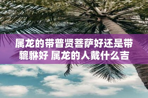 属龙的带普贤菩萨好还是带貔貅好 属龙的人戴什么吉祥物好