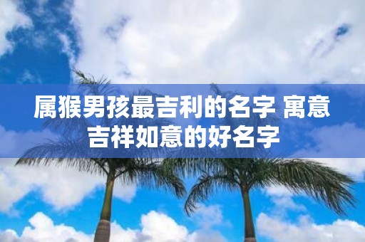 属猴男孩最吉利的名字 寓意吉祥如意的好名字