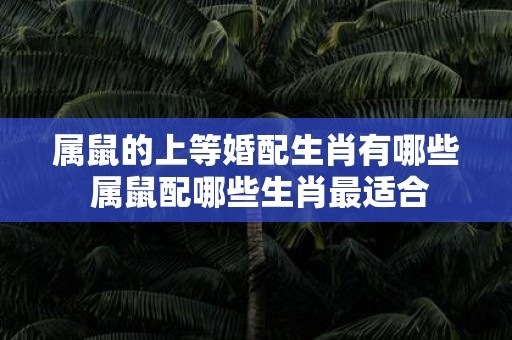 属鼠的上等婚配生肖有哪些 属鼠配哪些生肖最适合
