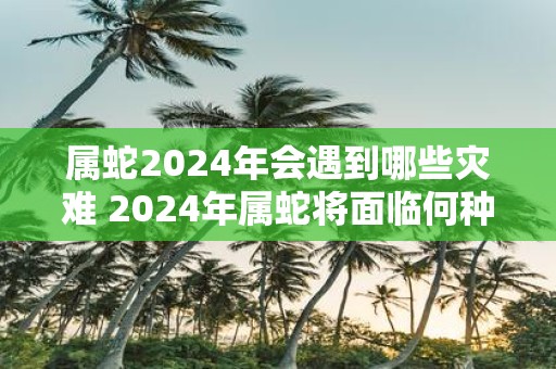 属蛇2025年会遇到哪些灾难 2025年属蛇将面临何种灾难
