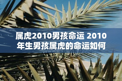 属虎2010男孩命运 2010年生男孩属虎的命运如何
