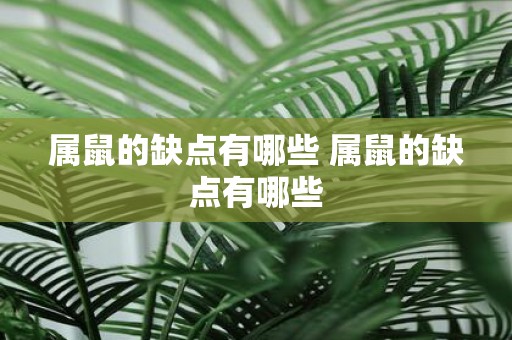 属鼠的缺点有哪些 属鼠的缺点有哪些