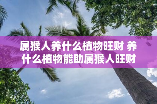 属猴人养什么植物旺财 养什么植物能助属猴人旺财