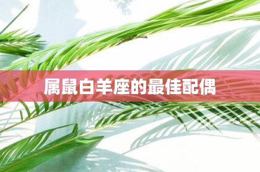 属鼠白羊座的最佳配偶