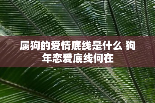 属狗的爱情底线是什么 狗年恋爱底线何在