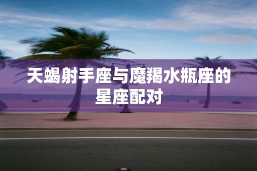 天蝎射手座与魔羯水瓶座的星座配对