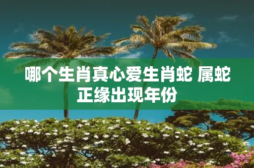 哪个生肖真心爱生肖蛇 属蛇正缘出现年份