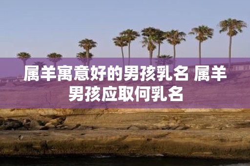 属羊寓意好的男孩乳名 属羊男孩应取何乳名
