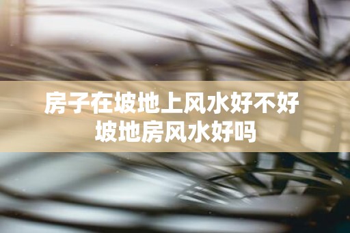 房子在坡地上风水好不好 坡地房风水好吗