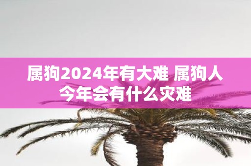 属狗2025年有大难 属狗人今年会有什么灾难