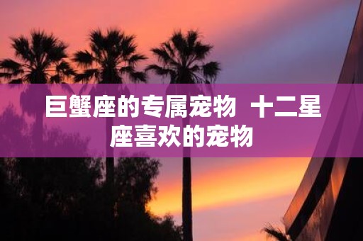 巨蟹座的专属宠物 十二星座喜欢的宠物