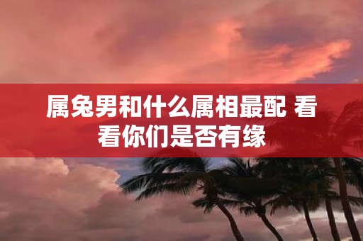属兔男和什么属相最配 看看你们是否有缘
