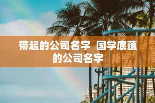 带起的公司名字 国学底蕴的公司名字