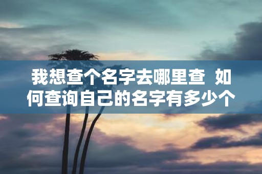 我想查个名字去哪里查 如何查询自己的名字有多少个