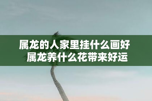 属龙的人家里挂什么画好 属龙养什么花带来好运