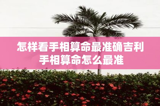 怎样看手相算命最准确吉利 手相算命怎么最准