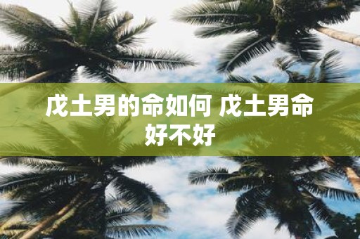 戊土男的命如何 戊土男命好不好