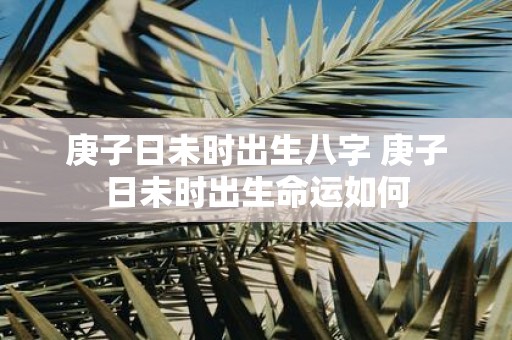 庚子日未时出生八字 庚子日未时出生命运如何