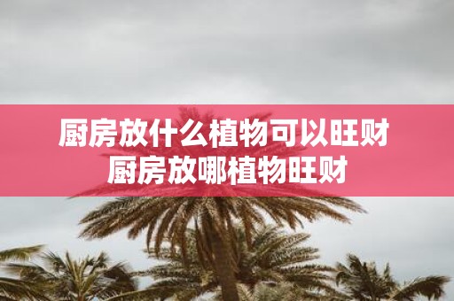 厨房放什么植物可以旺财 厨房放哪植物旺财