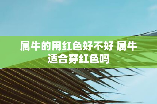 属牛的用红色好不好 属牛适合穿红色吗