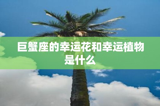 巨蟹座的幸运花和幸运植物是什么