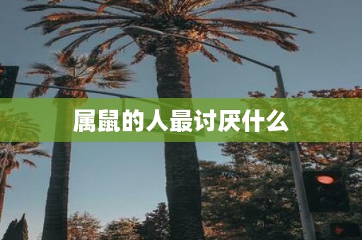 属鼠的人最讨厌什么