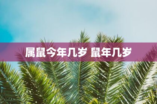 属鼠今年几岁 鼠年几岁