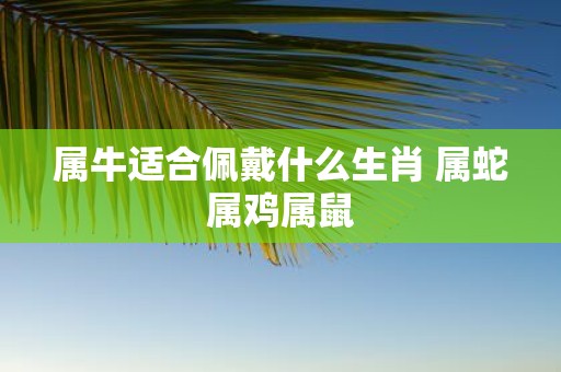 属牛适合佩戴什么生肖 属蛇属鸡属鼠
